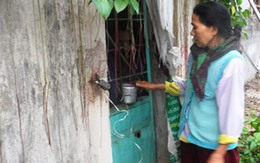 Ước mơ của người mẹ đau khổ