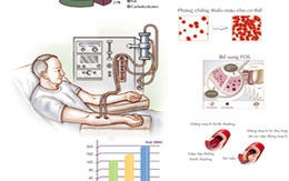 Dinh dưỡng đặc biệt cho người lọc máu ngoài thận 