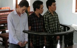 Đêm Valentine oan nghiệt của cô nữ sinh 