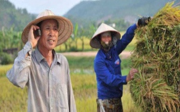 Sắp có ĐTDĐ 3G giá rẻ cho nông thôn
