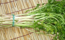 7 rễ rau chống lạnh và đuổi bệnh