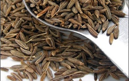 Thực phẩm chữa rắc rối của hệ tiêu hóa 