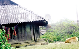 Ghen tuông, chồng nã đạn vào mặt vợ 