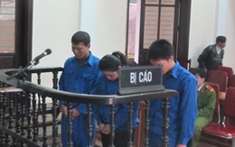 Án tù cho cặp đôi "mèo mả gà đồng"