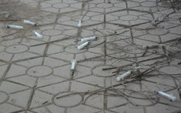 Khu vực hồ Minh Khôi (Phủ Lý, Hà Nam): Nghiện lộng hành