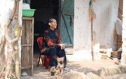 Sắc xuân đã thắm mà lòng người còn ngậm lắm tủi hờn