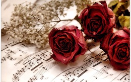 Quà độc đáo của các chàng trai Việt ngày Valentine