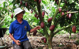 Con Số & cuộc sống: 30.000