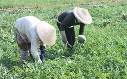 Con số & Cuộc sống: 2 triệu