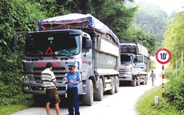 Hai tuần “xử” hơn 2.000 xe quá tải 