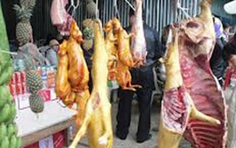 Kiếm bộn nhờ “chiêu” biến thú nuôi thành thú rừng