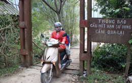 Chuẩn bị xây đồng loạt 186 cầu treo trên toàn quốc