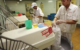 Kiến nghị tăng tuổi nghỉ hưu từ năm 2016 