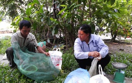 Nghề “độc” hốt tiền gấp chục lần lương công chức ở Hà Thành