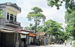Vĩnh Tường, Vĩnh Phúc: Chồng lên kế hoạch “khử” gia đình vợ