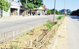 Trồng rau giữa quốc lộ