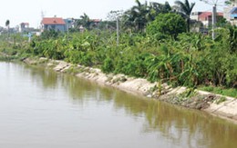 Tự tử vì tình?