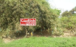 Gặp lại người chồng mất vợ trong vụ giết người mổ bụng phi tang: Cuộc đấu trí nghẹt thở bóc trần tội ác tên sát nhân