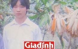 Vụ bé gái 13 tuổi bị anh họ xâm hại: Nỗi đau xót của người cha hung thủ