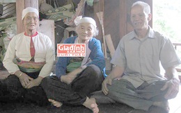 Truy tìm loài kỳ thảo của cư dân “thung lũng trường thọ” nổi tiếng xứ Mường