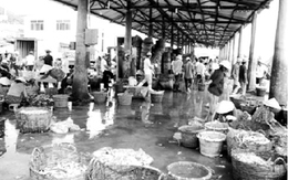 Mượn con riêng của vợ hờ để giấu bệnh vô sinh