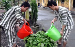 Đón Tết... trong trại giam