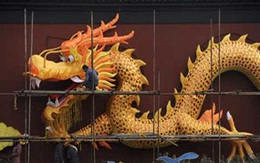 Nỗi khổ của người sinh năm Rồng 