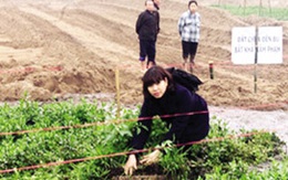 Hà Nội: Hàng trăm ngôi mộ bị vùi lấp trong đêm