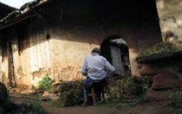 Yêu râu xanh cưỡng hiếp... bà lão 84