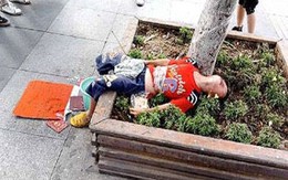Cha trói con vào cây để xin tiền
