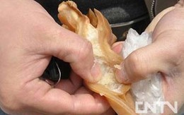 Trung Quốc xác nhận có tai lợn giả