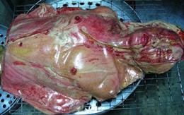 Rùng mình bánh mỳ giống cơ thể người