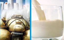 Bé gái mới 20 ngày tuổi bị cha đầu độc