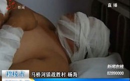 Đại bàng trả thù kẻ đã giết con mình