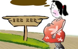 Thai nhi tự biến mất trong bụng mẹ sau 18 ngày