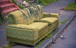 Hầu tòa vì “làm bậy” với... ghế sofa