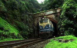 Chị dâu, em chồng tự tử vì bị phát hiện 'vụng trộm'
