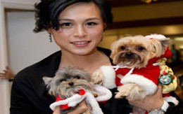 Con gái tỷ phú xin cha ngừng kén rể 