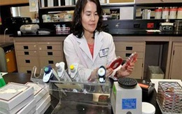 Ngân hàng máu, tinh trùng đến ngân hàng phân người?