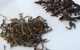 Trà Ô Long Trung Quốc nhiễm thuốc trừ sâu