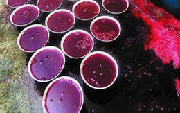 Kinh hoàng tiết canh vịt chứa formaldehyde