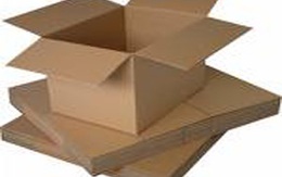 Kinh hoàng phát hiện 18 đầu người tại sân bay Mỹ