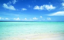 Du khách nước ngoài chết  đuối trên Vịnh Hạ Long