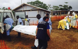 Nhận biết các triệu chứng và cách phòng tránh bệnh dịch Ebola