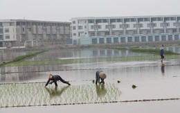 Dự thảo Luật Đất đai sửa đổi: Sẽ sửa đổi thủ tục cưỡng chế thu hồi đất