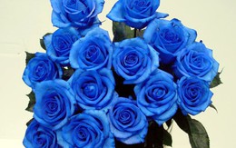 Cháy hàng quà độc Valentine