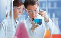Báo động thị trường sữa – thật giả lẫn lộn