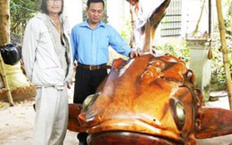 Tác phẩm bạc tỉ từ gốc cây khô