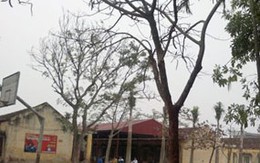 Trần tình của nhà trường nữ sinh lớp 12 nhảy lầu