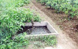 "Lặn" xuống hố phân hơn 10 giờ để vượt ngục